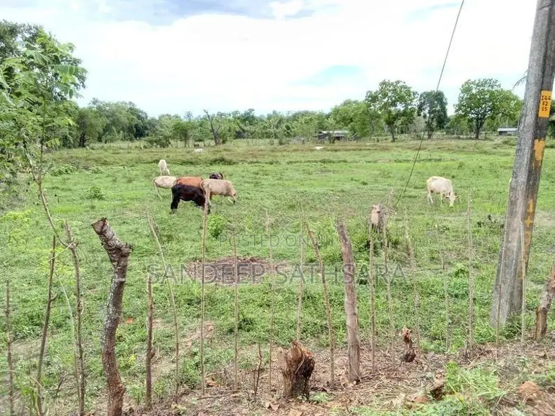 Land For Sale In Ampara
