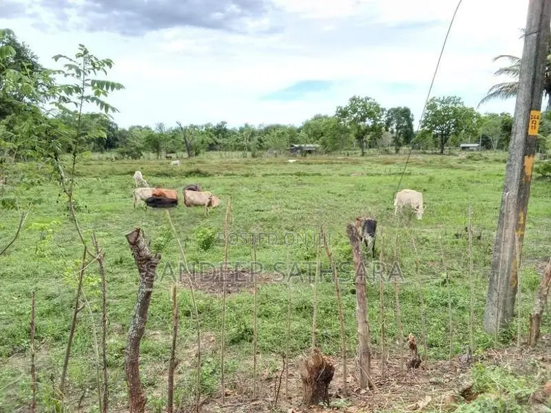 Land For Sale In Ampara