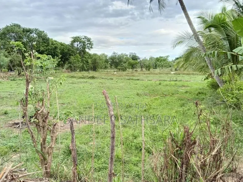 Land For Sale In Ampara