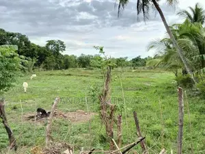 Land For Sale In Ampara