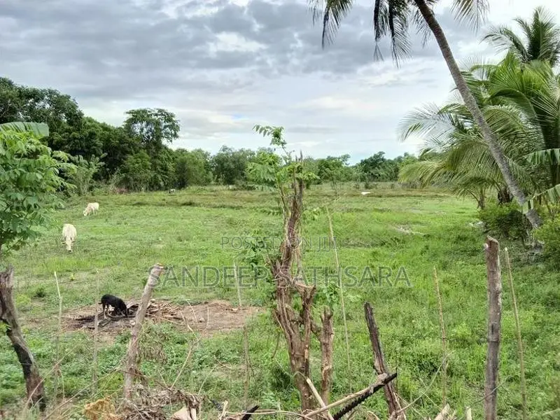 Land For Sale In Ampara