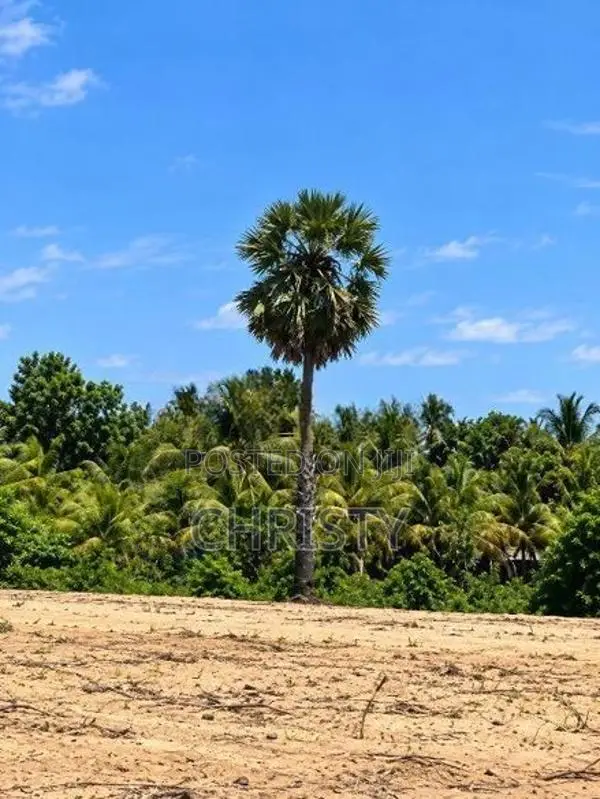 Land For Sale In Kaluvenkerni Batticaloa