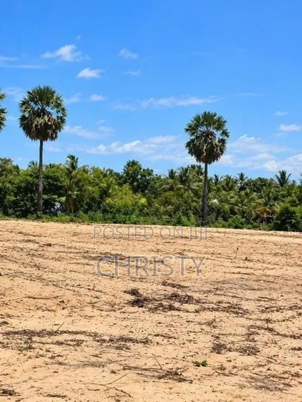 Land For Sale In Kaluvenkerni Batticaloa