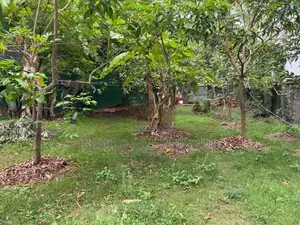Thalawathugoda 10 Perch Prime Valuable Land for Sale – Owner