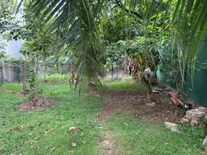 Thalawathugoda 10 Perch Prime Valuable Land for Sale – Owner