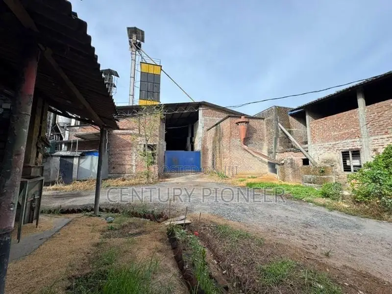Rice Mill For Sale In Pollonnaruwa With 350KW Solar System