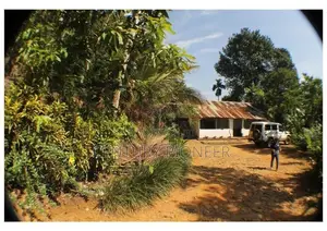 50 Acres for Sale in Eheliyagoda