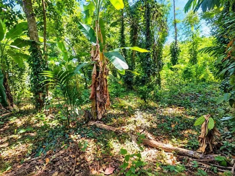 37.75-Perch Land for Sale in Badalkumbura (SSPL-519)