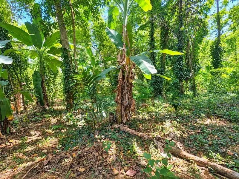 37.75-Perch Land for Sale in Badalkumbura (SSPL-519)