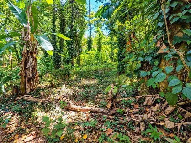 37.75-Perch Land for Sale in Badalkumbura (SSPL-519)