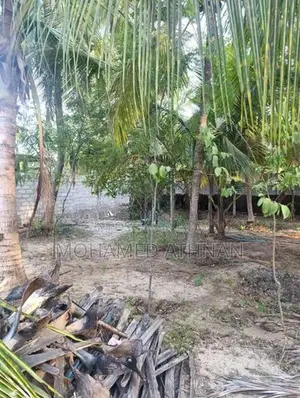 Land Sale In Nintavur Sainthamaruthu