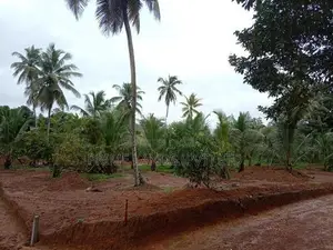 ගෝනපිනුවලින් සියලු පහසුකම් සහිත අගනා නේවාසික බිම් කොටස්