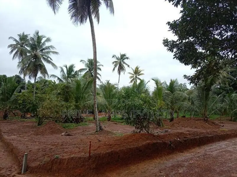 ගෝනපිනුවලින් සියලු පහසුකම් සහිත අගනා නේවාසික බිම් කොටස්