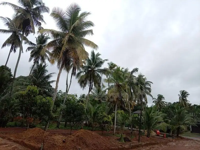 ගෝනපිනුවලින් සියලු පහසුකම් සහිත අගනා නේවාසික බිම් කොටස්