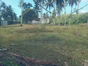 Minuwangoda Dunagaha Aluthapola Bus Road Face Land For Sale