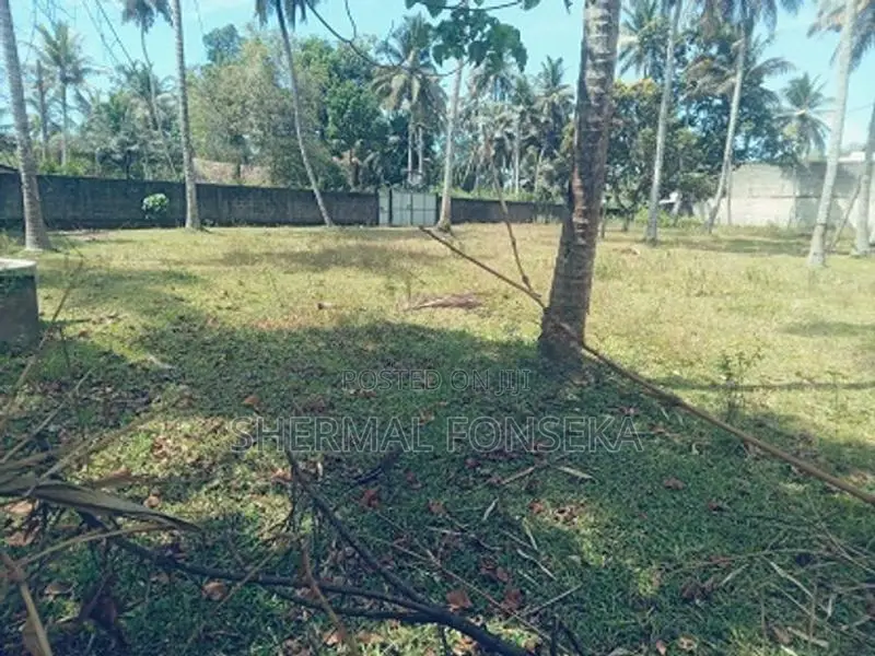 Minuwangoda Dunagaha Aluthapola Bus Road Face Land For Sale