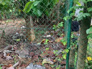 Residential Land For Sale In Piliyandala