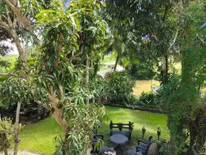 Commercial Property for Rent ( Ground Floor ) – Kirindiwita
