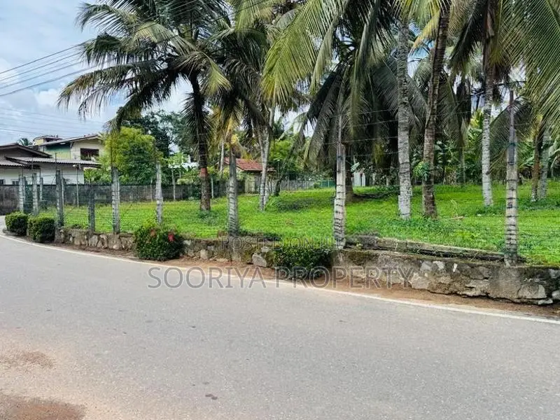 Facing 120 Colombo Road Commercial Land for Sale in Piliyandala