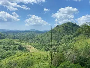 30-Acre Tea Estate Eco Tourism Land for Sale in Hiniduma