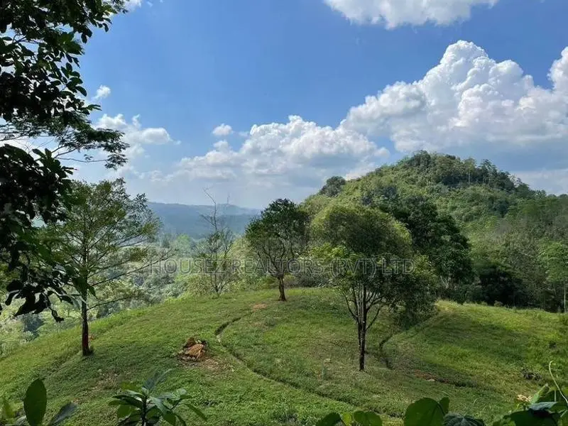 30-Acre Tea Estate Eco Tourism Land for Sale in Hiniduma