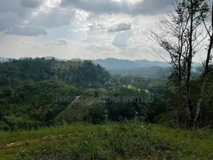 30-Acre Tea Estate Eco Tourism Land for Sale in Hiniduma
