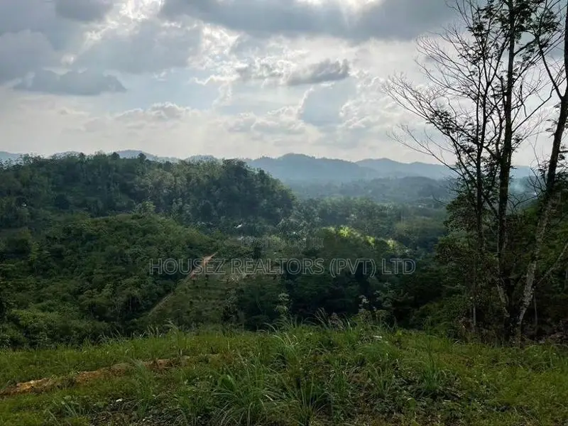 30-Acre Tea Estate Eco Tourism Land for Sale in Hiniduma