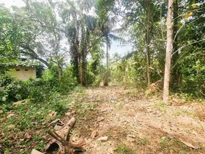 මිනුවන්ගොඩ නගරයට සමීපව වටිනා නේවාසික බිම් කොටසක්