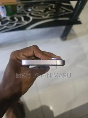Apple iPhone 17 (Used)