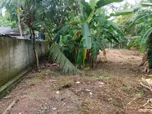 A 16-Perch Valuable Land Plot for Sale Kandana