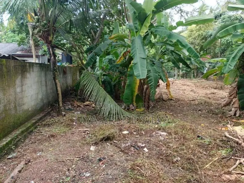 A 16-Perch Valuable Land Plot for Sale Kandana