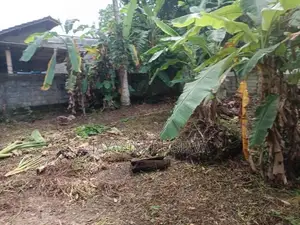 A 16-Perch Valuable Land Plot for Sale Kandana