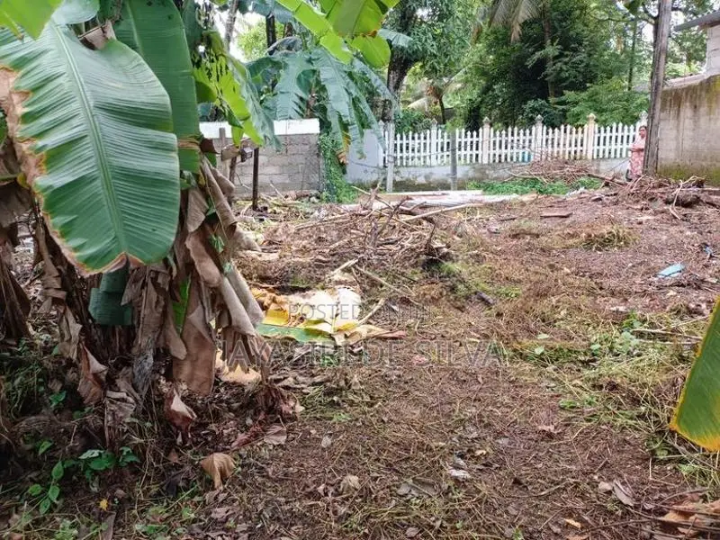 A 16-Perch Valuable Land Plot for Sale Kandana