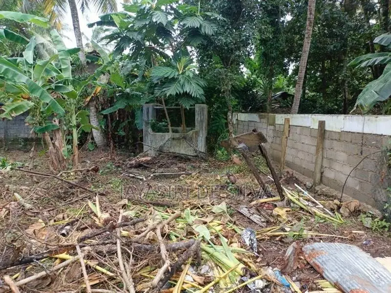 A 16-Perch Valuable Land Plot for Sale Kandana