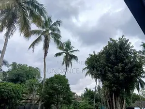 Coco Chip Factory For Sale In Minuwangoda