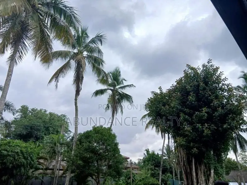 Coco Chip Factory For Sale In Minuwangoda