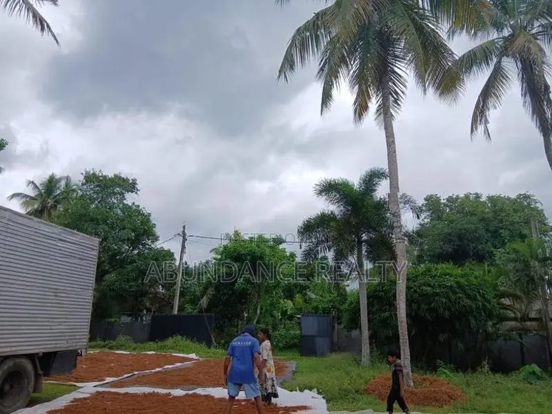 Coco Chip Factory For Sale In Minuwangoda