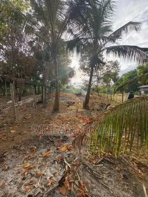 Land For Sale Arafa Nagar Mutur In Kinniya