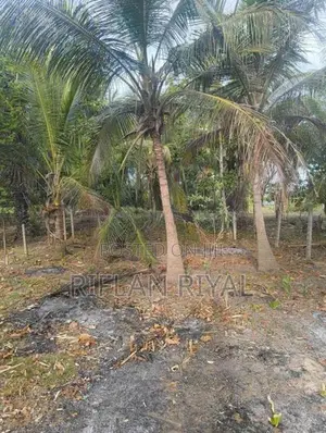 Land For Sale Arafa Nagar Mutur In Kinniya