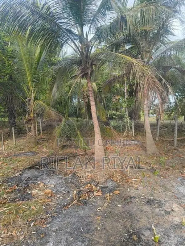 Land For Sale Arafa Nagar Mutur In Kinniya