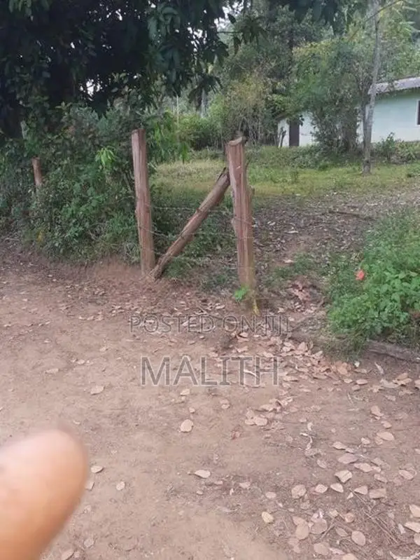 වැලිමඩ - බොරලන්ද නිවසක් සහිත ඉඩමක් විකිණීමට