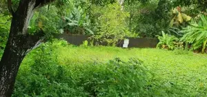 Prime Commercial Property for Sale in Battaramulla