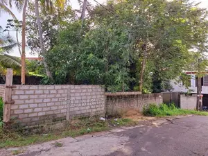 Colombo 05 Land For Sale (NK11868)