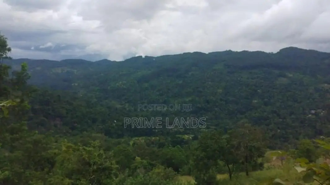 Land for Sale in Bandarawela Kontehela