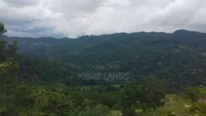 Land for Sale in Bandarawela Kontehela