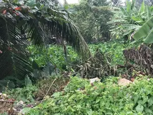 Owita Land for Sale