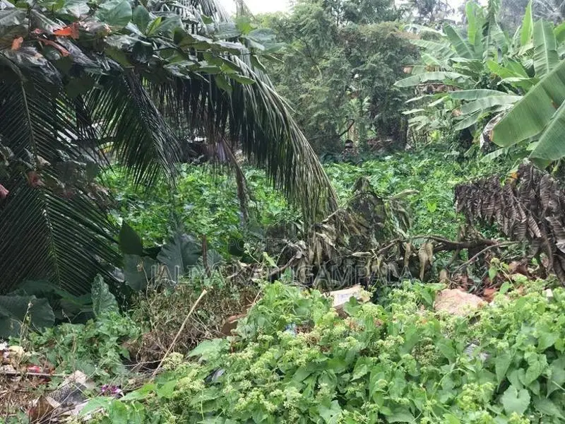 Owita Land for Sale