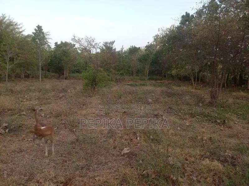 Land for Sale in Trincomalee