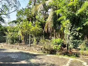 Land for Sale in Thalahena, – 10 Perches