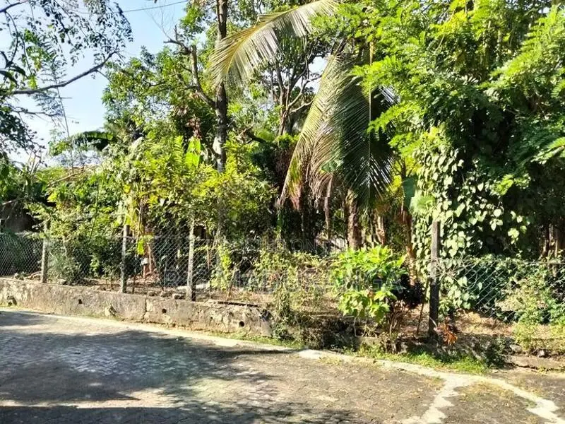 Land for Sale in Thalahena, – 10 Perches